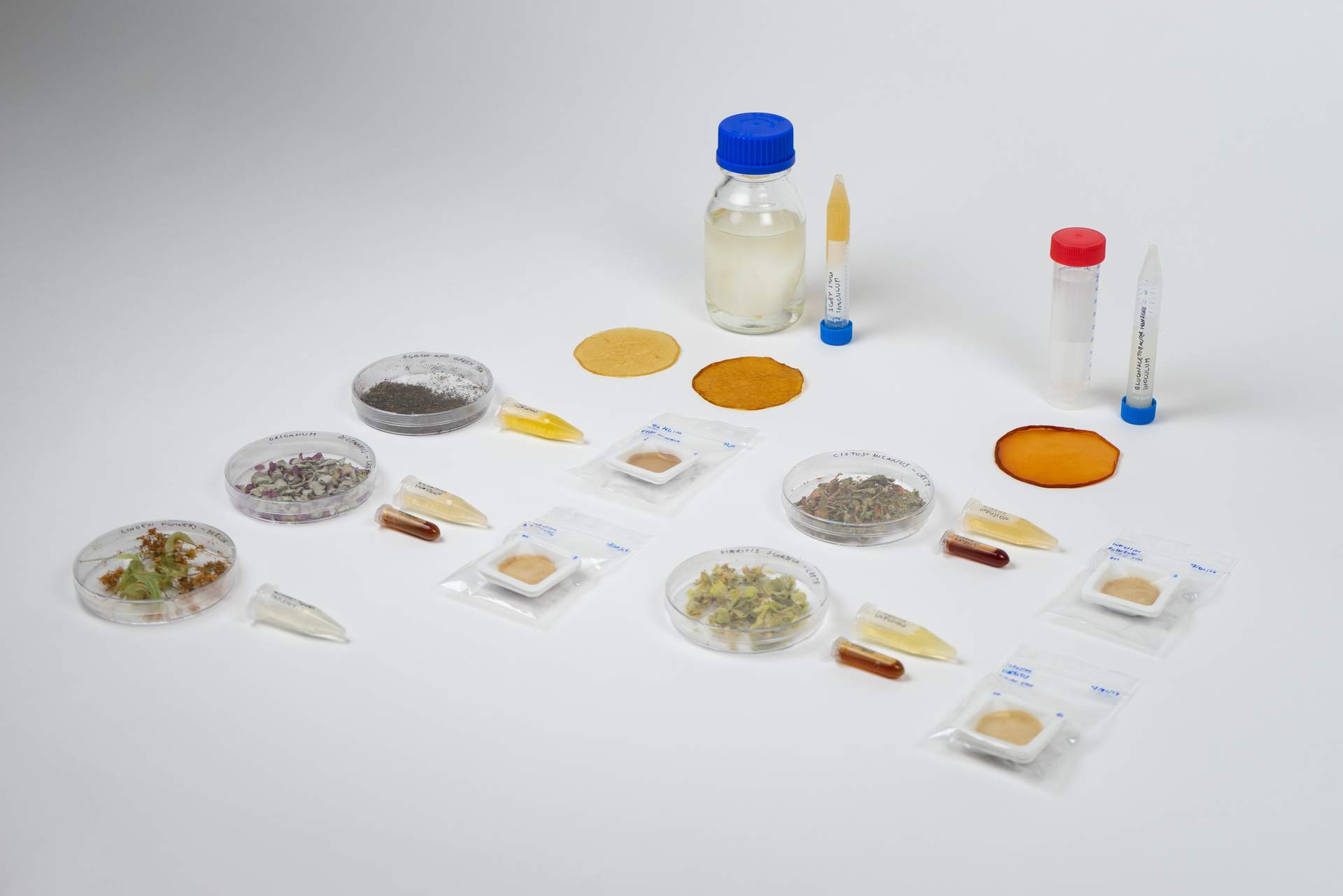 Growing Biomaterials with plants and microbes with-in Berlin